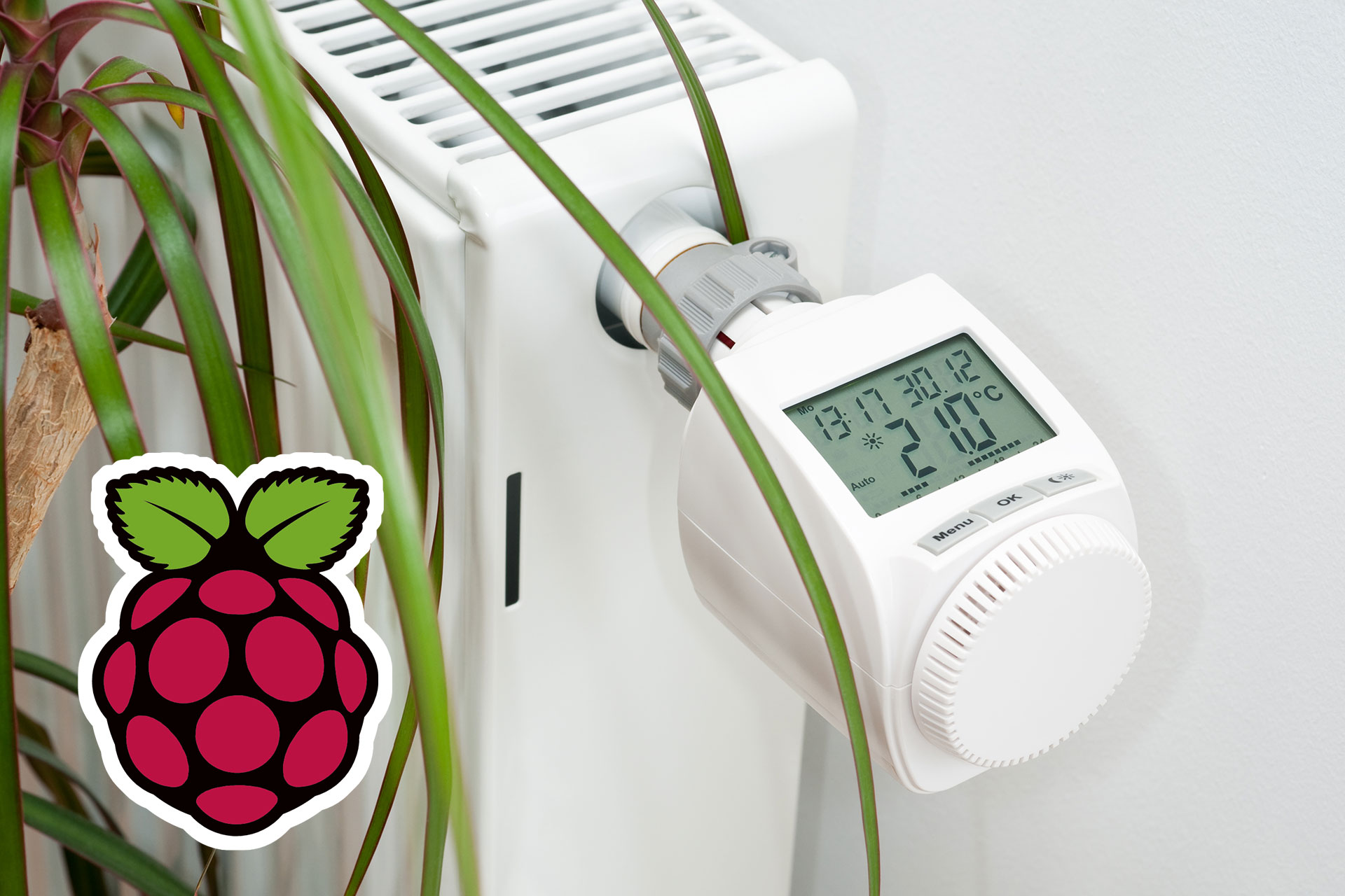 raspberry max titel