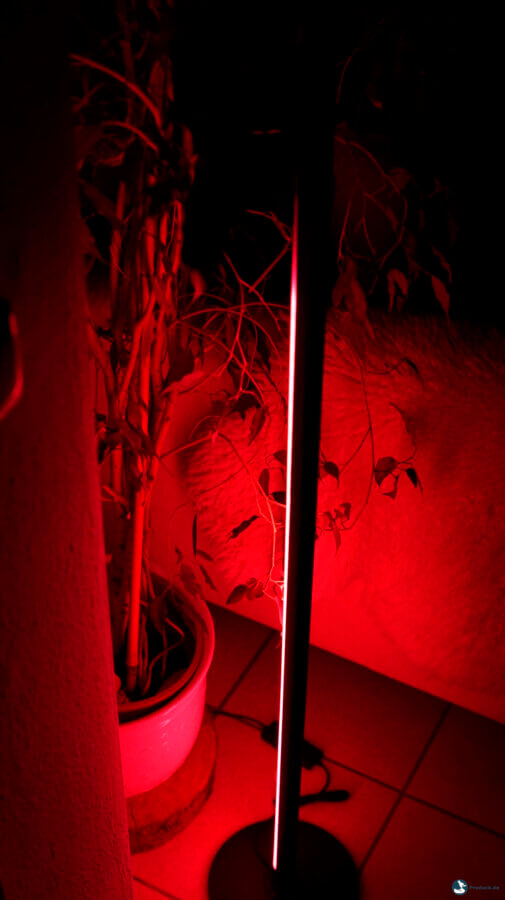 SwitchBot Floor Lamp Beleuchtung