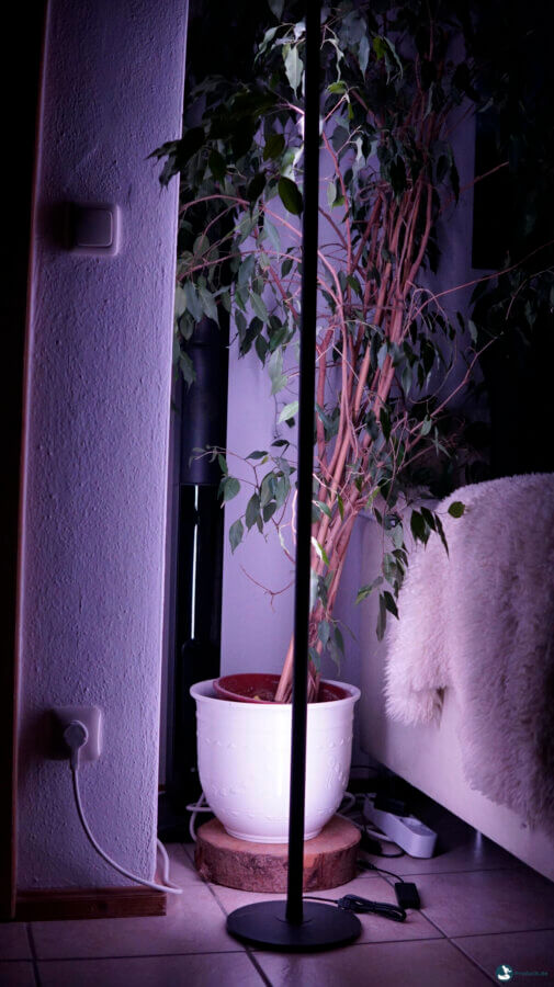 SwitchBot Floor Lampe