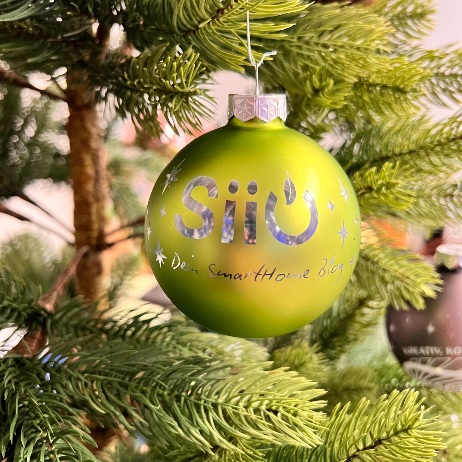 FRITZ!Box Datenübertragung: Von 7590 AX auf 7690 – die schnelle Schritt ...